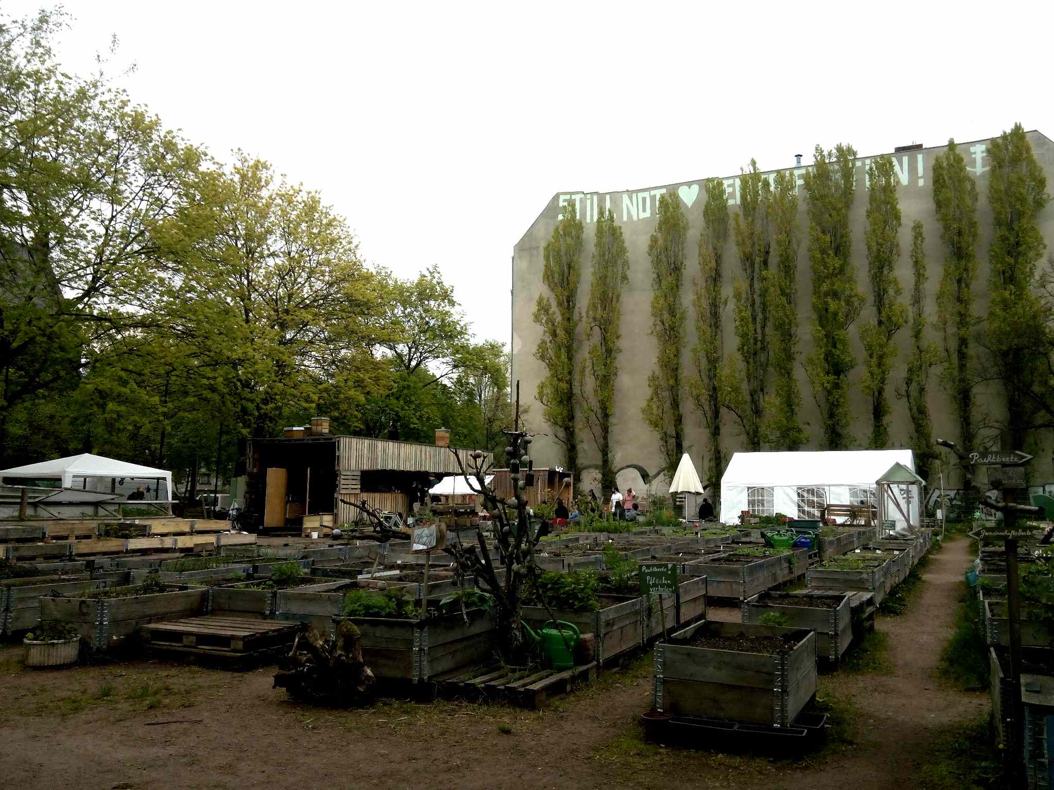 Favourite Places In Berlin Urban Gardens Old Airport And